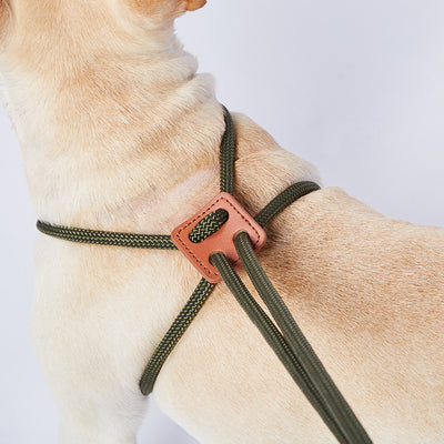 Leash Chest-back Dog Leash Pet Products