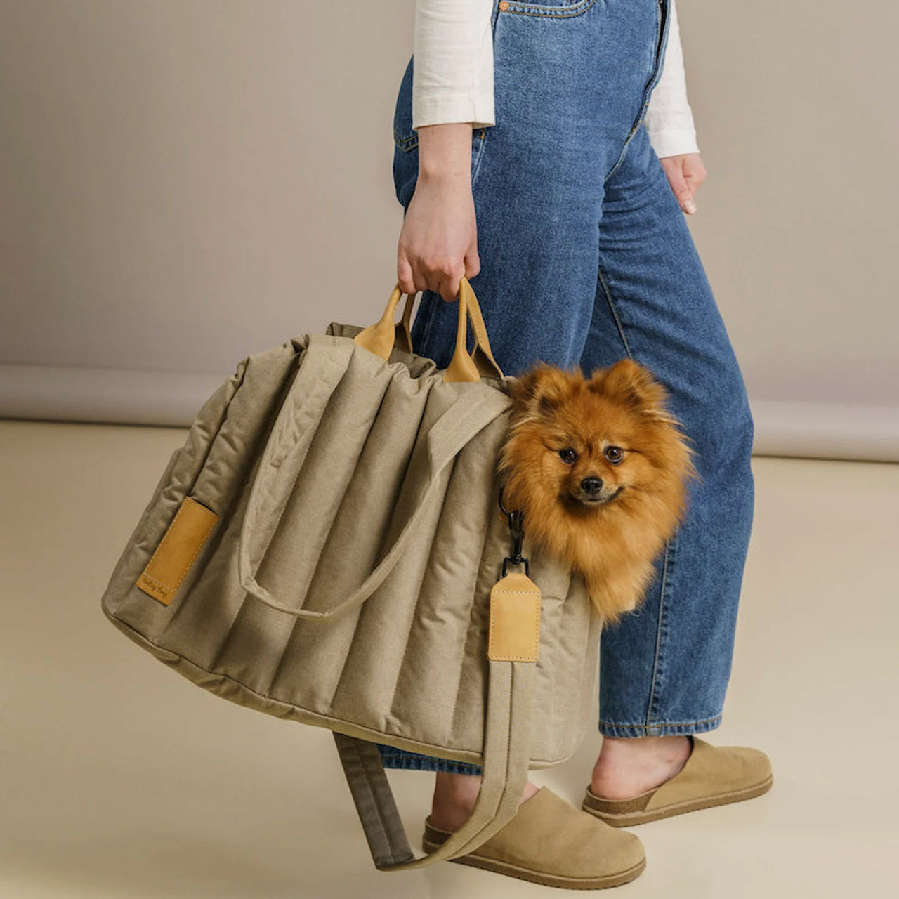 dog carrier