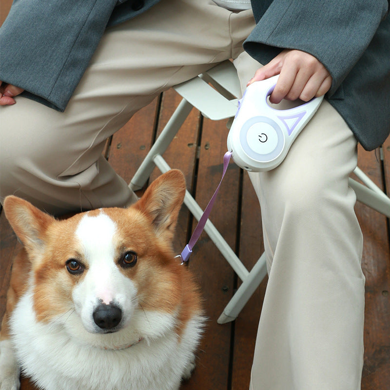 pet traction leash