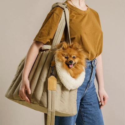 pet bag