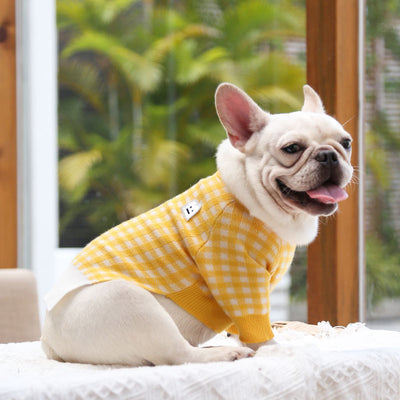 pet clothing product