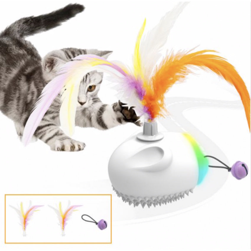 pet toy product